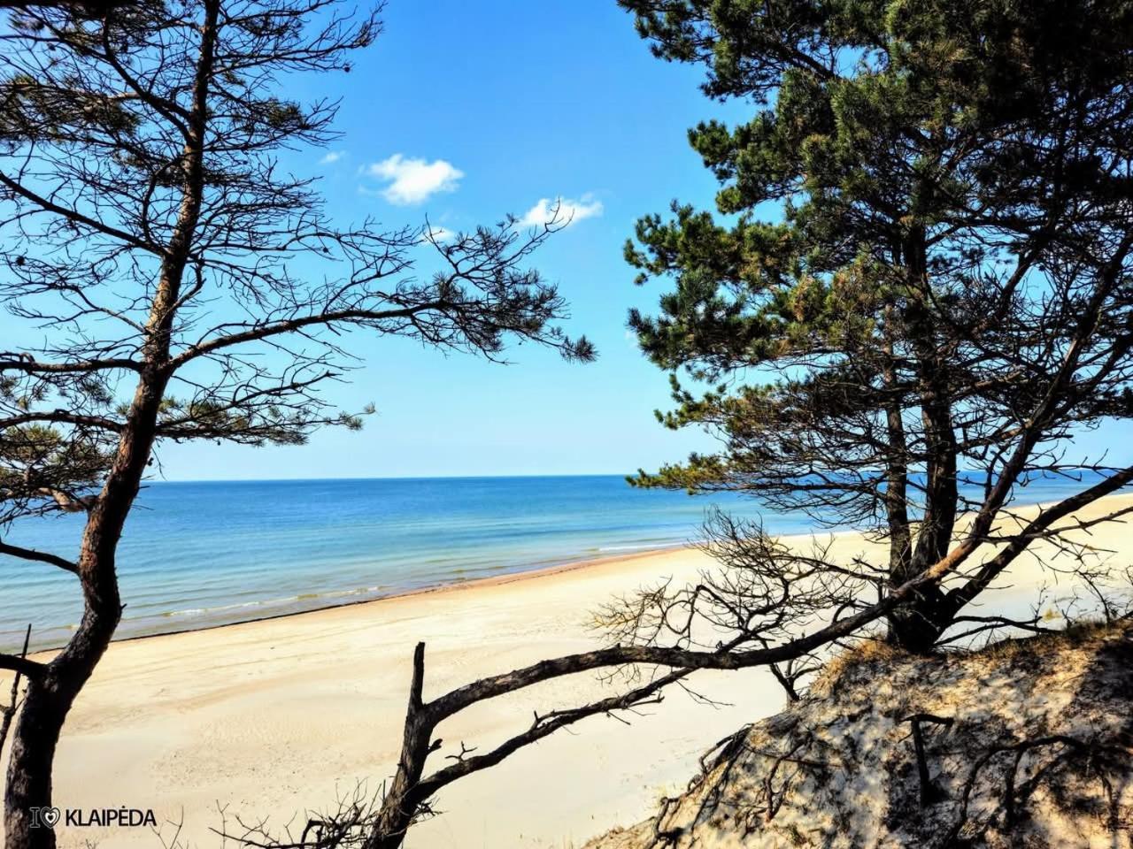 Luxury Loft With Love Seaside * Klaipėda